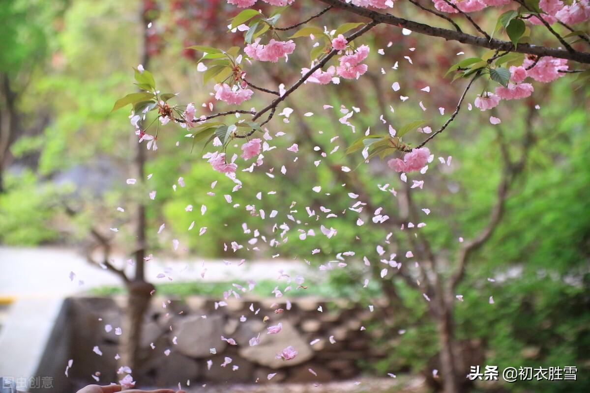 夜静无风花自落，明月不流花自流（落花美诗五首赏读）