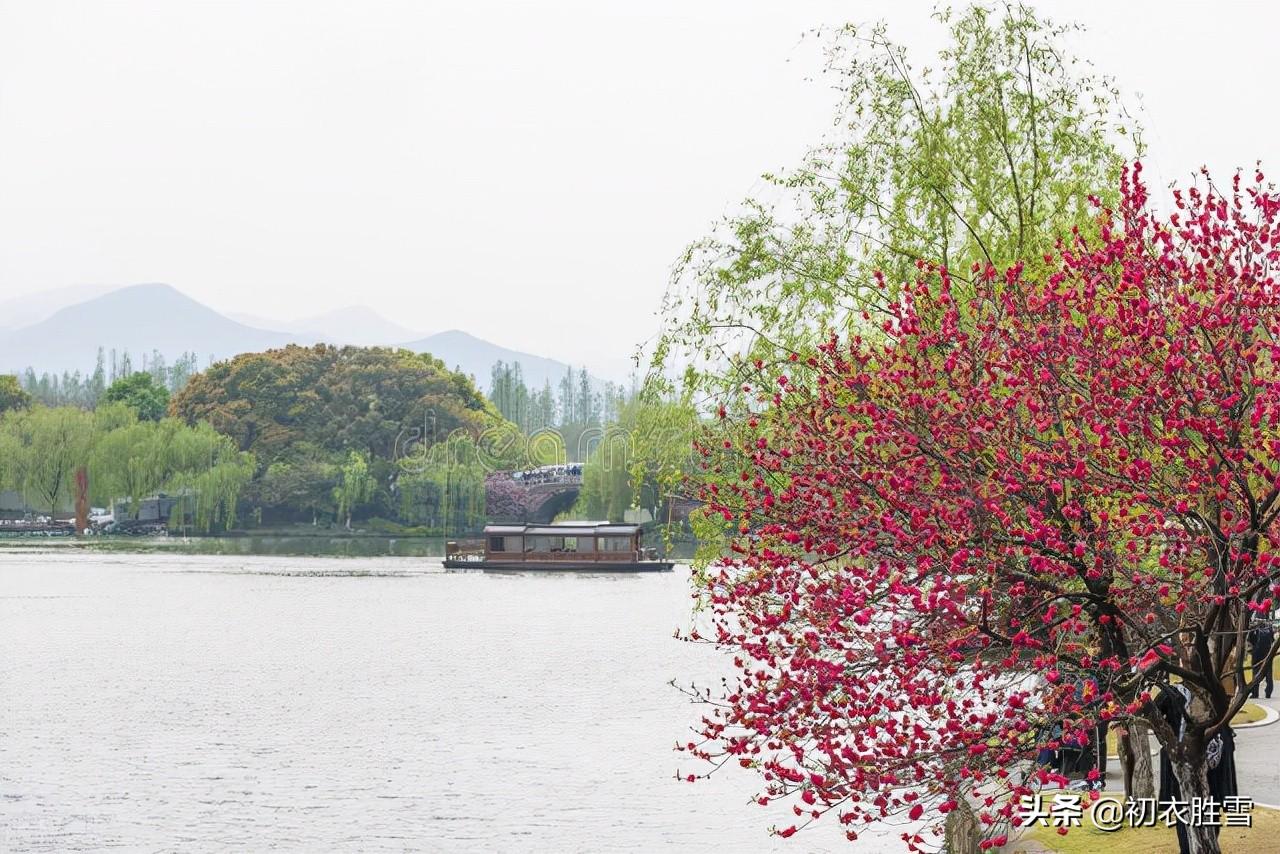 桃花经典古诗词有哪些（苏曼殊三首桃花诗赏读）