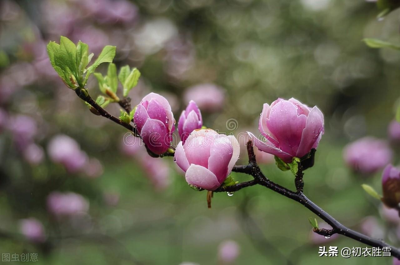 春雷经典古诗词有哪些（仲春春雷古诗六首）