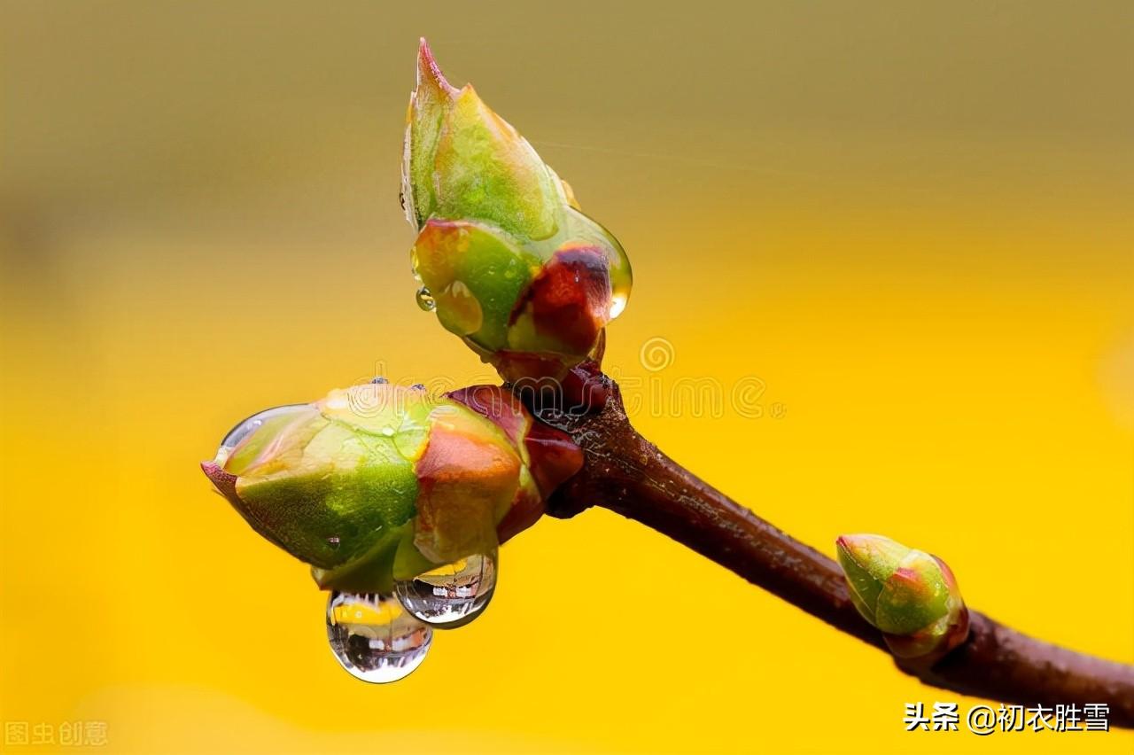 春雷经典古诗词有哪些（仲春春雷古诗六首）