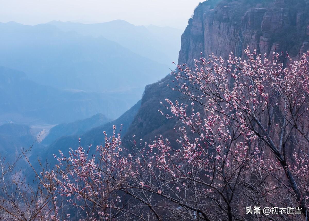 桃花的经典古诗词赏析（仲春花信之桃花美诗七首）