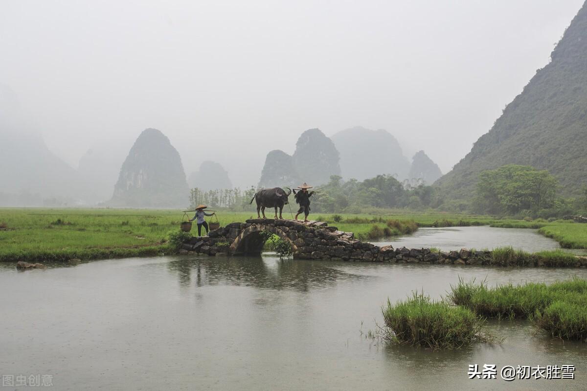 春雨诗词古句有哪些（春雨诗词五首古诗词）