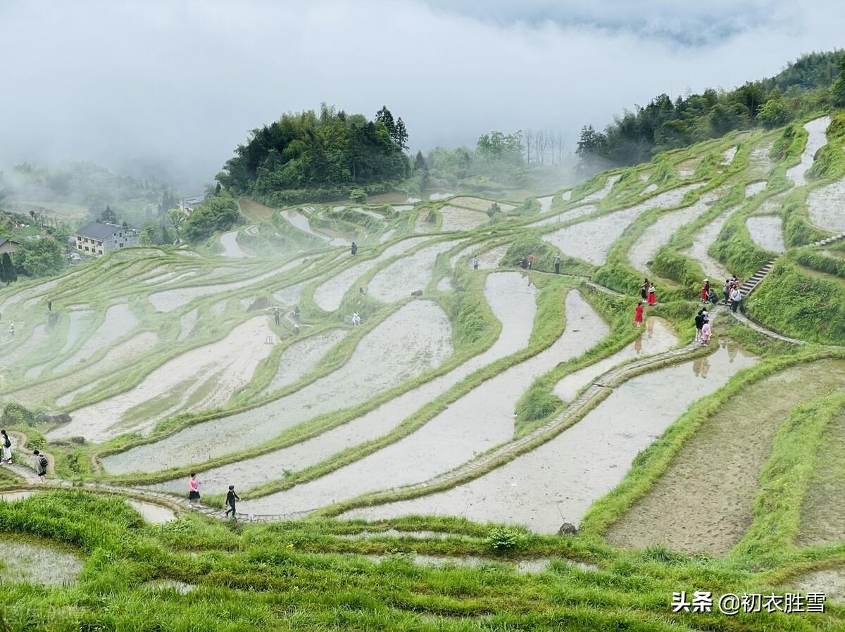 春雨诗词古句有哪些（春雨诗词五首古诗词）