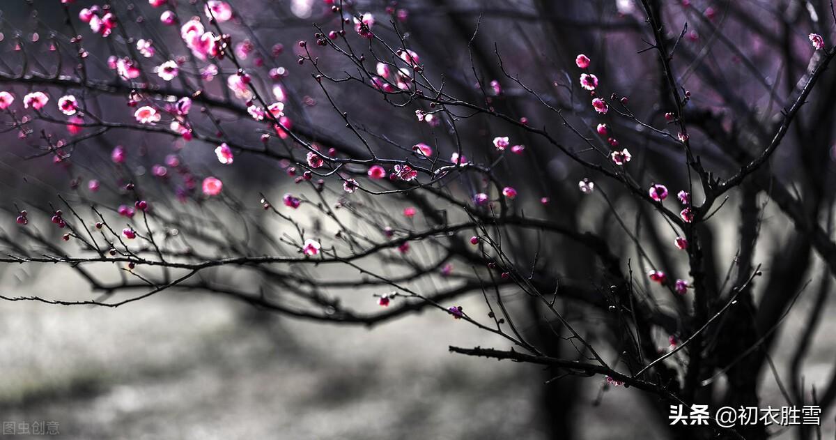 早春春雨春水七律四首（小雨蒙蒙润土膏，春水初生没断桥）