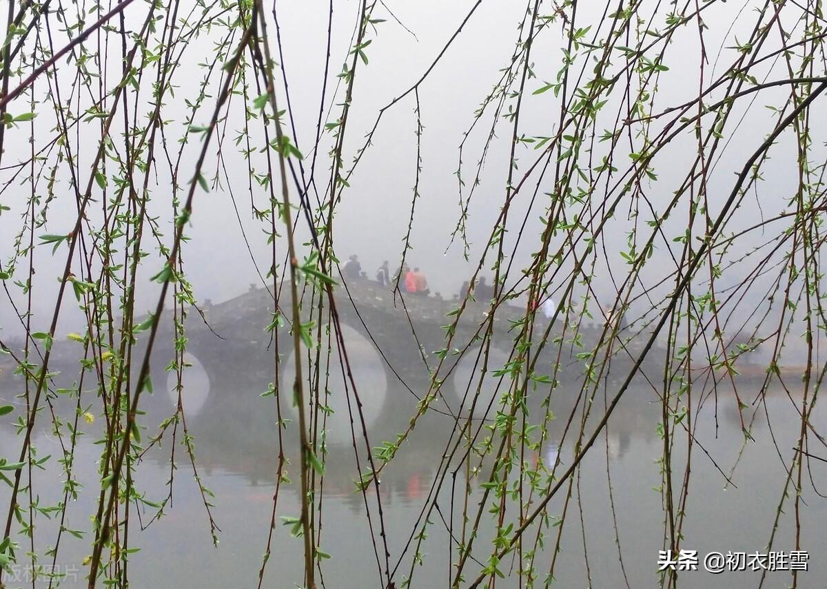 早春春雨春水七律四首（小雨蒙蒙润土膏，春水初生没断桥）