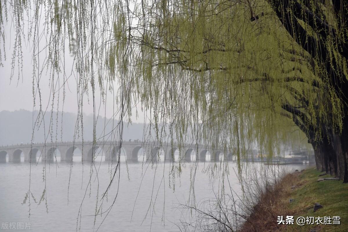 早春春雨春水七律四首（小雨蒙蒙润土膏，春水初生没断桥）