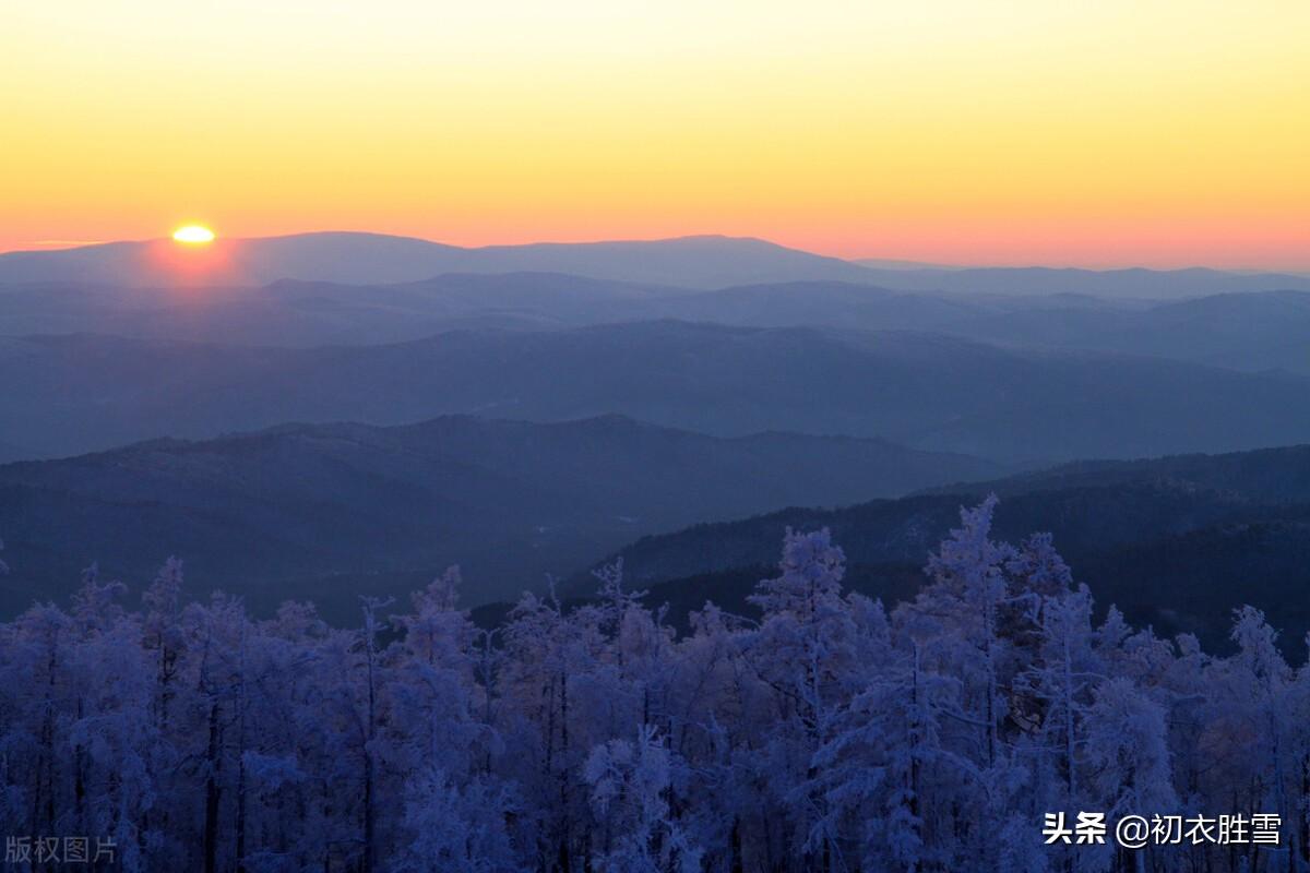 感怀唯美古诗词（岁暮岁月感怀古诗八首）