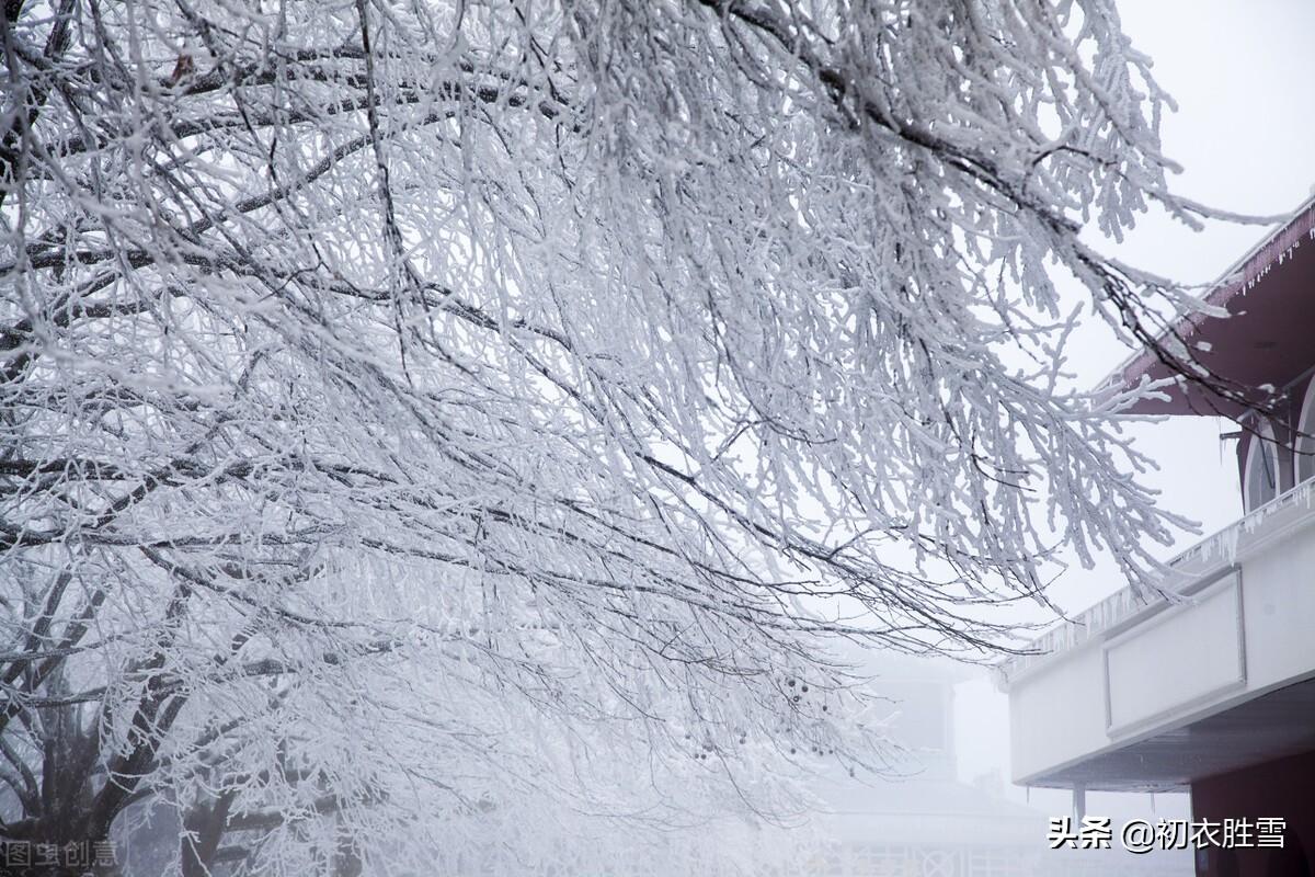 ​腊雪古诗词六首（片片嘉平瑞，朝来雪满天）