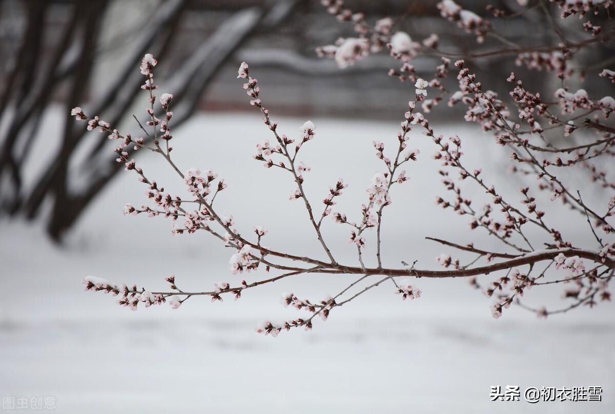 ​腊雪古诗词六首（片片嘉平瑞，朝来雪满天）