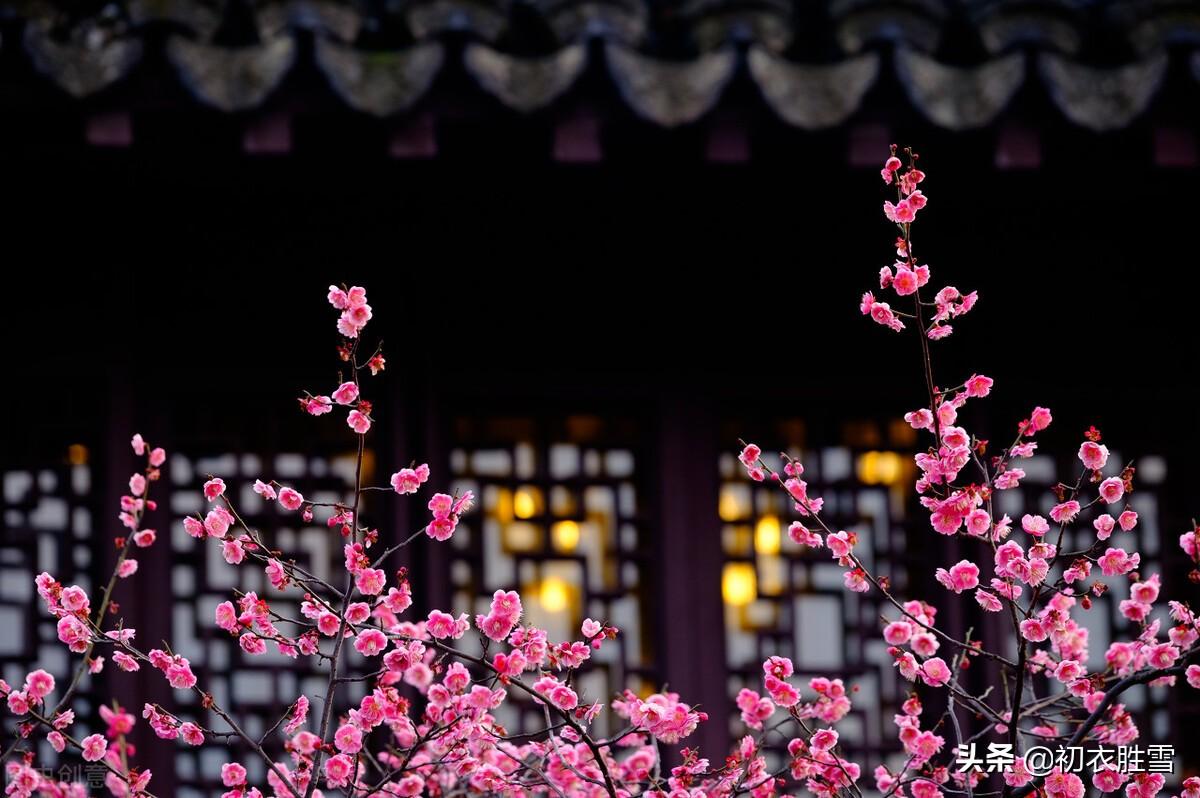 阳生一脉天，梅香告报春（冬至明丽诗词七首鉴赏）