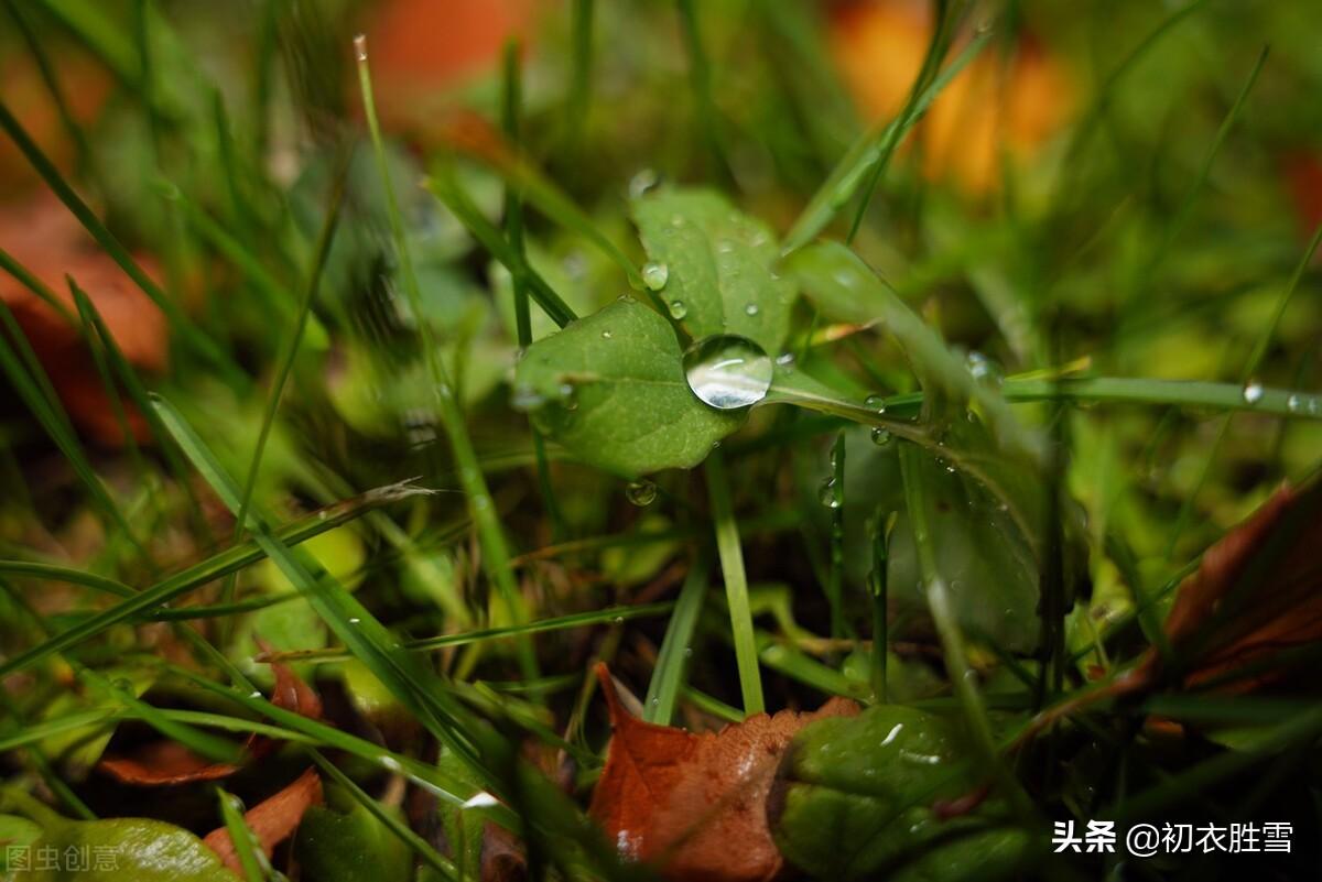 形容冬天下雨的诗句（温柔冬雨经典五首）