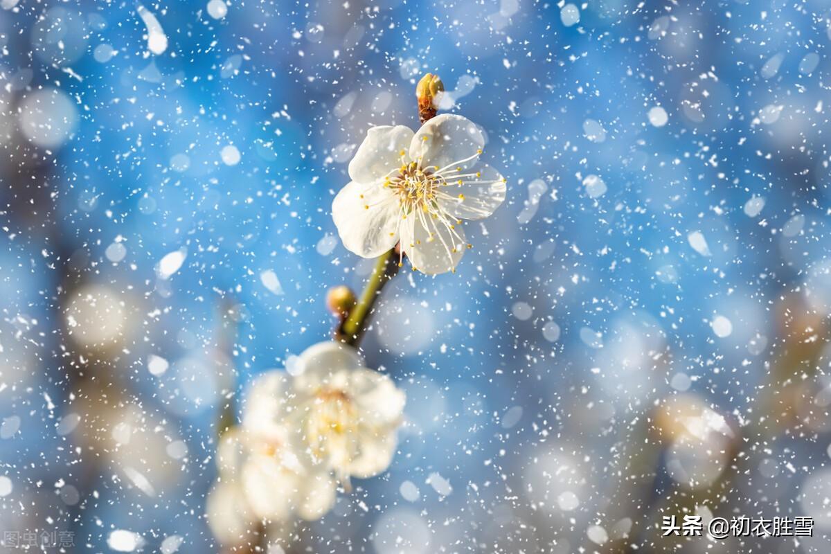 雪意古诗六首赏析（雪意垂垂浸碧虚，梅正开时雪意深）