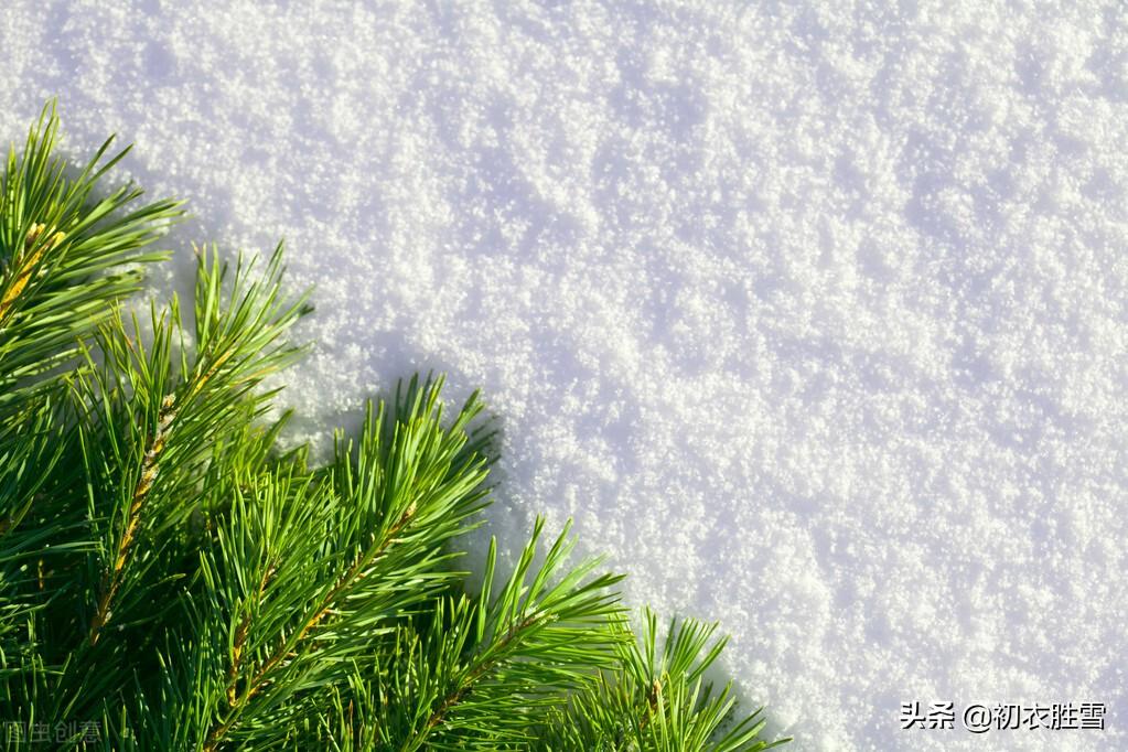 雪意古诗六首赏析（雪意垂垂浸碧虚，梅正开时雪意深）