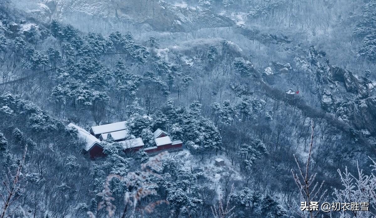 仲冬初雪优美古诗六首（朔风洒霰雨，共弄初落雪）