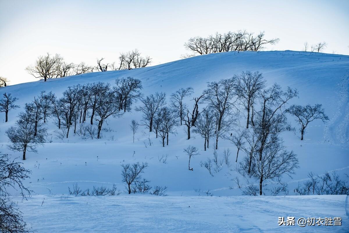 大雪经典古诗词大全（大雪节气瑞雪诗六首）