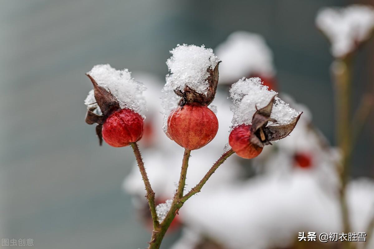 大雪经典古诗词大全（大雪节气瑞雪诗六首）