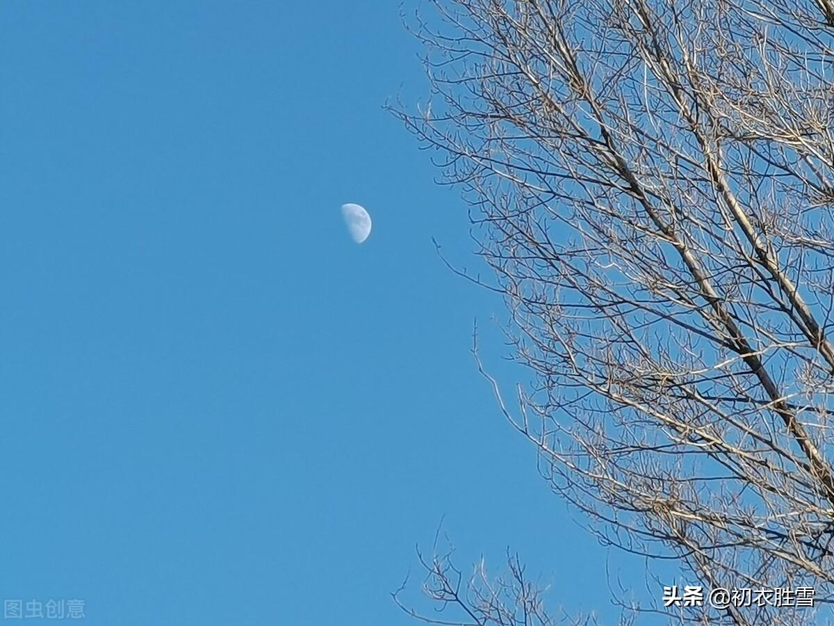 暗移梅影过红桥，裙带北风飘（有古意的冬日情词）