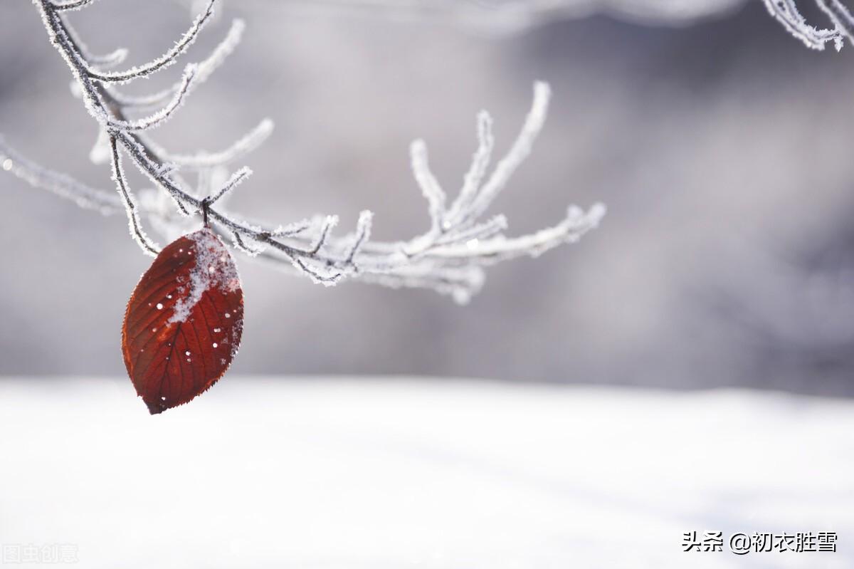 小雪经典诗词大全（​小雪节气小雪古诗七首）