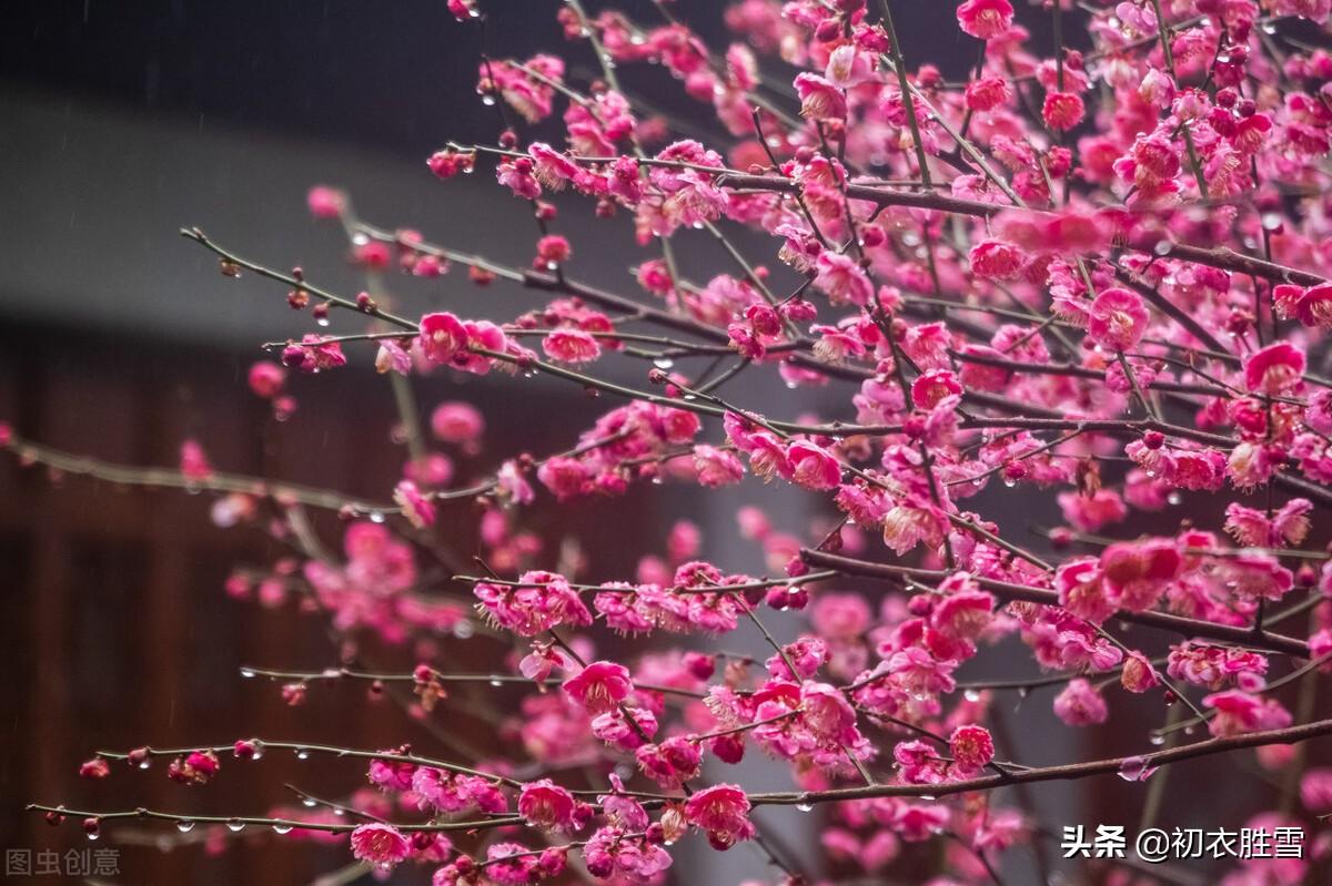 小春经典诗词有哪些（诗僧函可的早冬小春美诗）