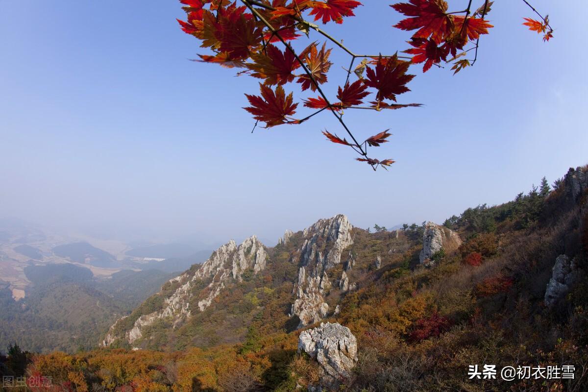 立冬节气古诗六首（黄花独带露，红叶已随风）