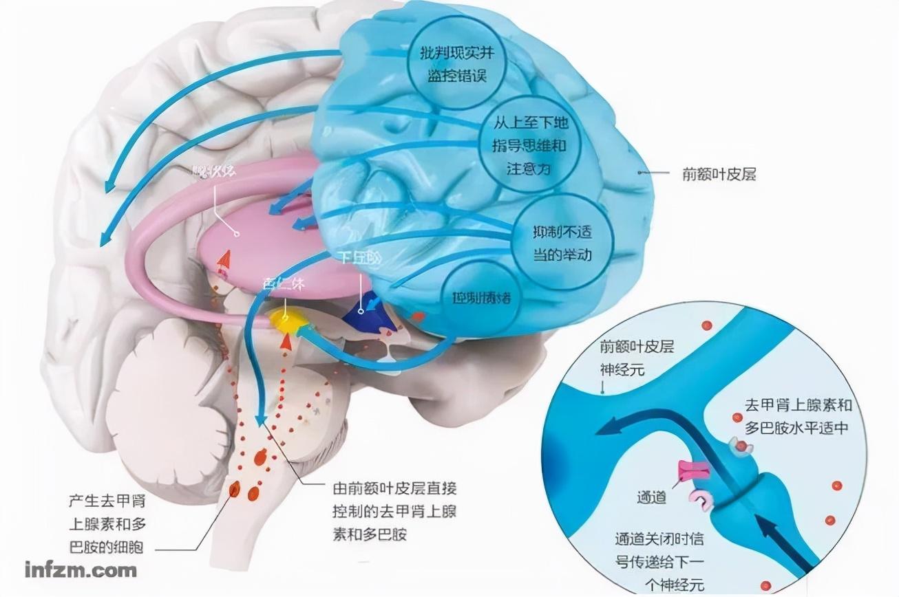 如何提高幼儿的规则意识（三步走提升自制力）