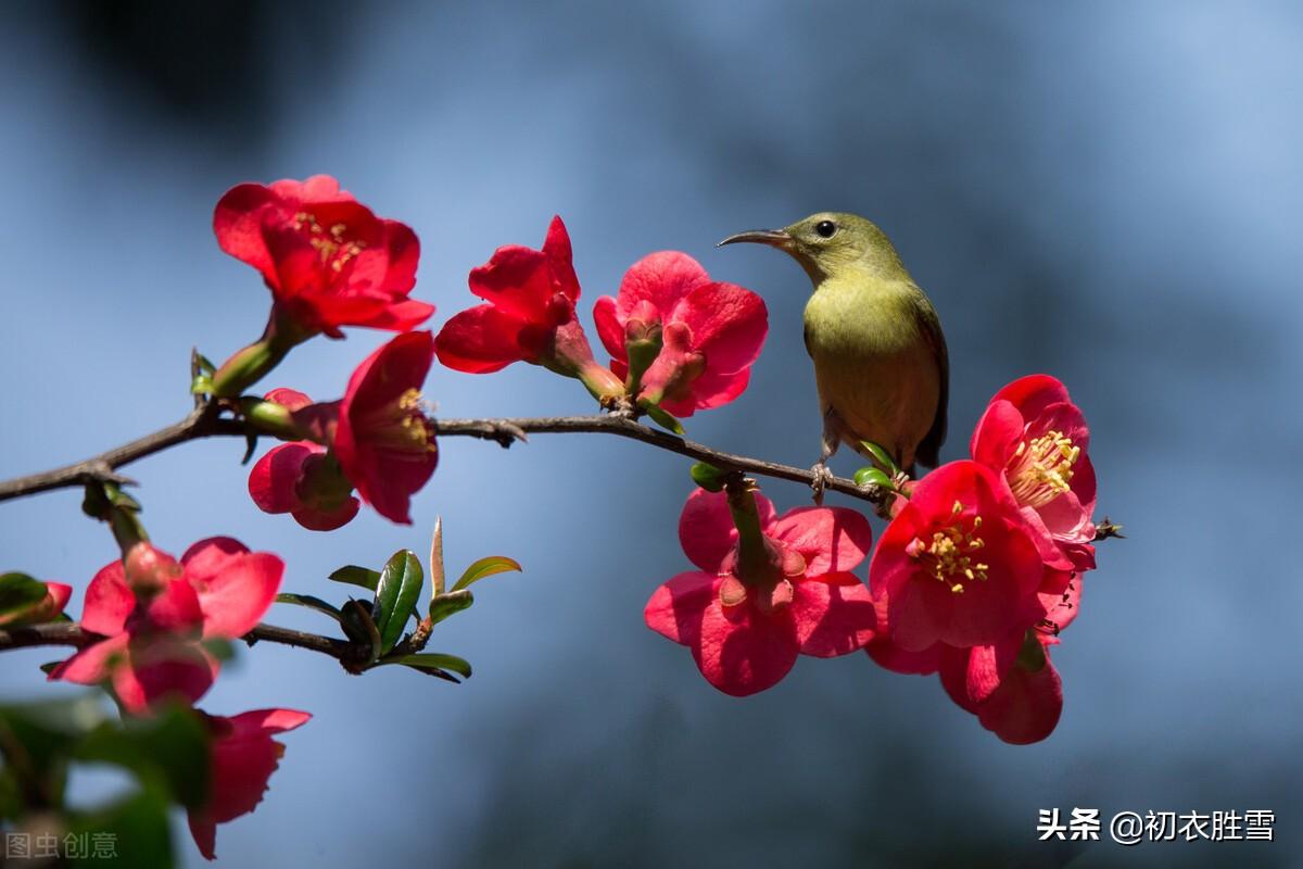 小春唯美古诗有哪些（小春四首古诗词）