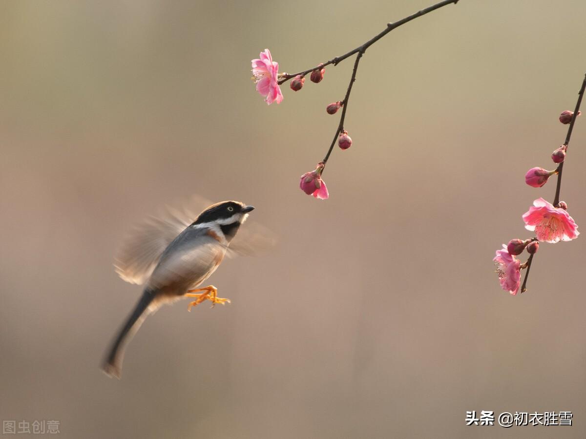 小春唯美古诗有哪些（小春四首古诗词）