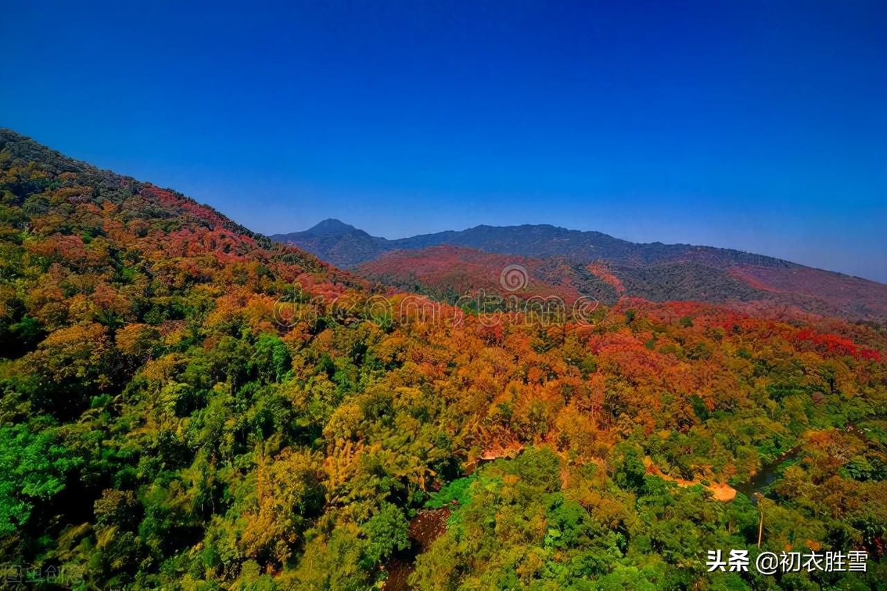 霜降天宇晶，极目万山横（二十四节气霜降诗词四首）