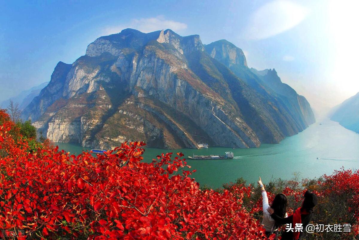 红叶黄花晚秋诗词五首鉴赏（煮酒烧红叶，和露摘黄花）