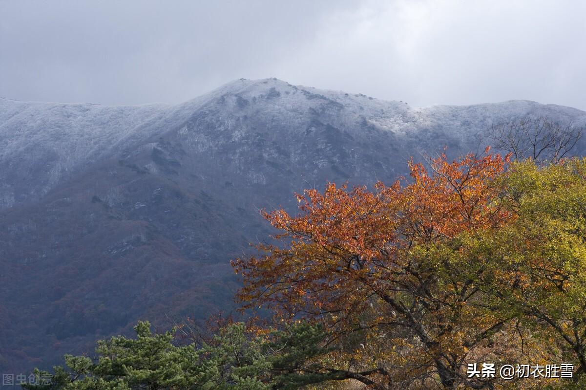 秋天长相思六首经典古诗（月明人倚楼，相思枫叶丹）