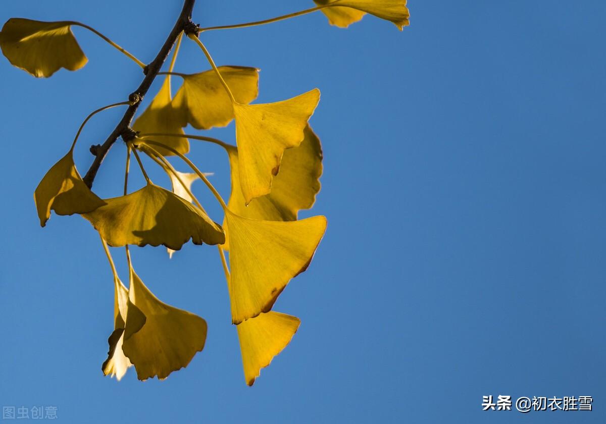 秋分经典诗词鉴赏（二十四节气之秋分诗四首）