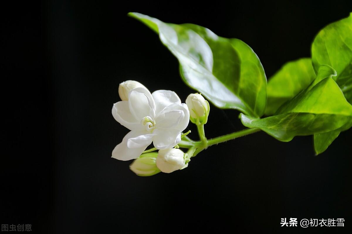 江湖经一雨，日月换新秋（早秋秋雨唯美诗词五首）