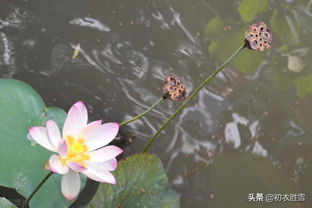 中元节经典诗词有哪些（纳兰性德两首中元节诗词赏析）