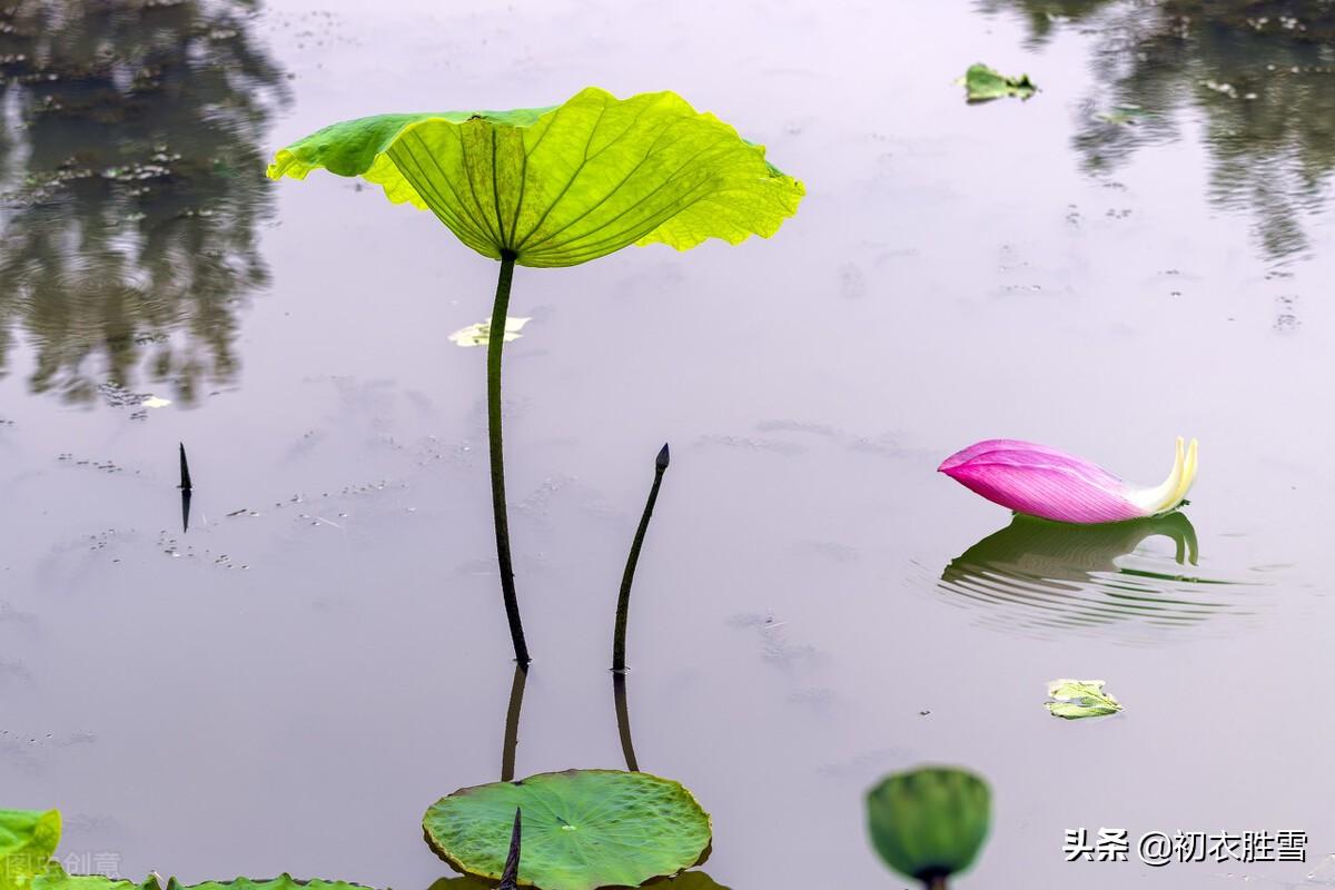 纳兰性德七夕词三首赏读（当时七夕记深盟，不许孤眠不断肠）