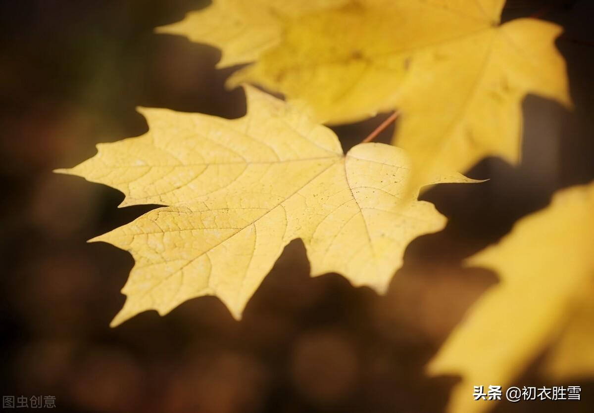 相见欢经典诗词鉴赏，李煜《相见欢》经典诗词