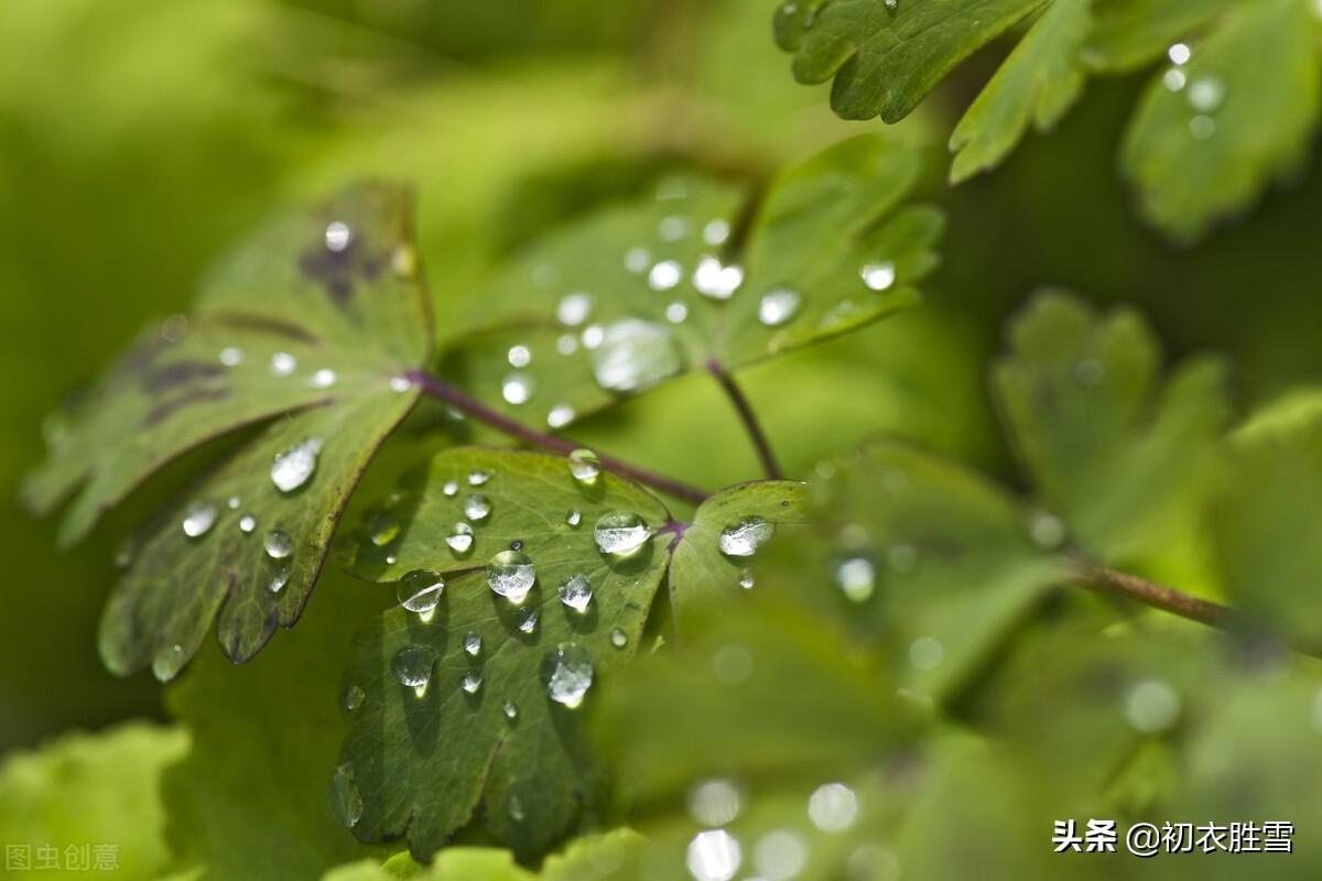 早秋清丽古诗佳句五首（金风玉露玻璃月，并作诗人富贵秋）