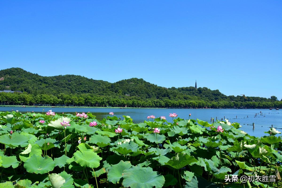 日出江花红胜火，映日荷花别样红（西湖荷花诗词五首）