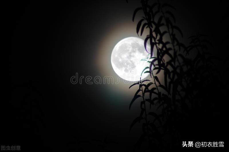 夏夜优美古诗七首（热极不可度，方知白日愁）