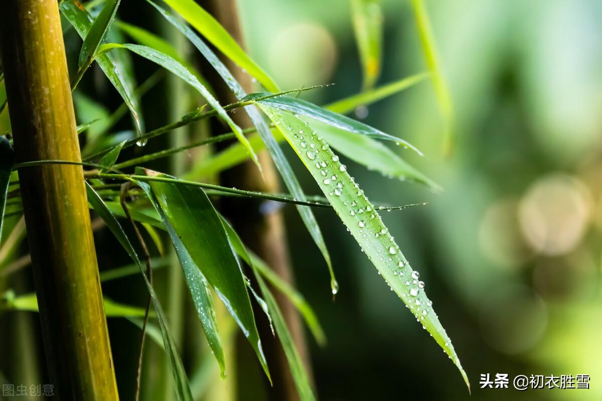 小暑诗词名句大全（二十四节气小暑古诗两首）