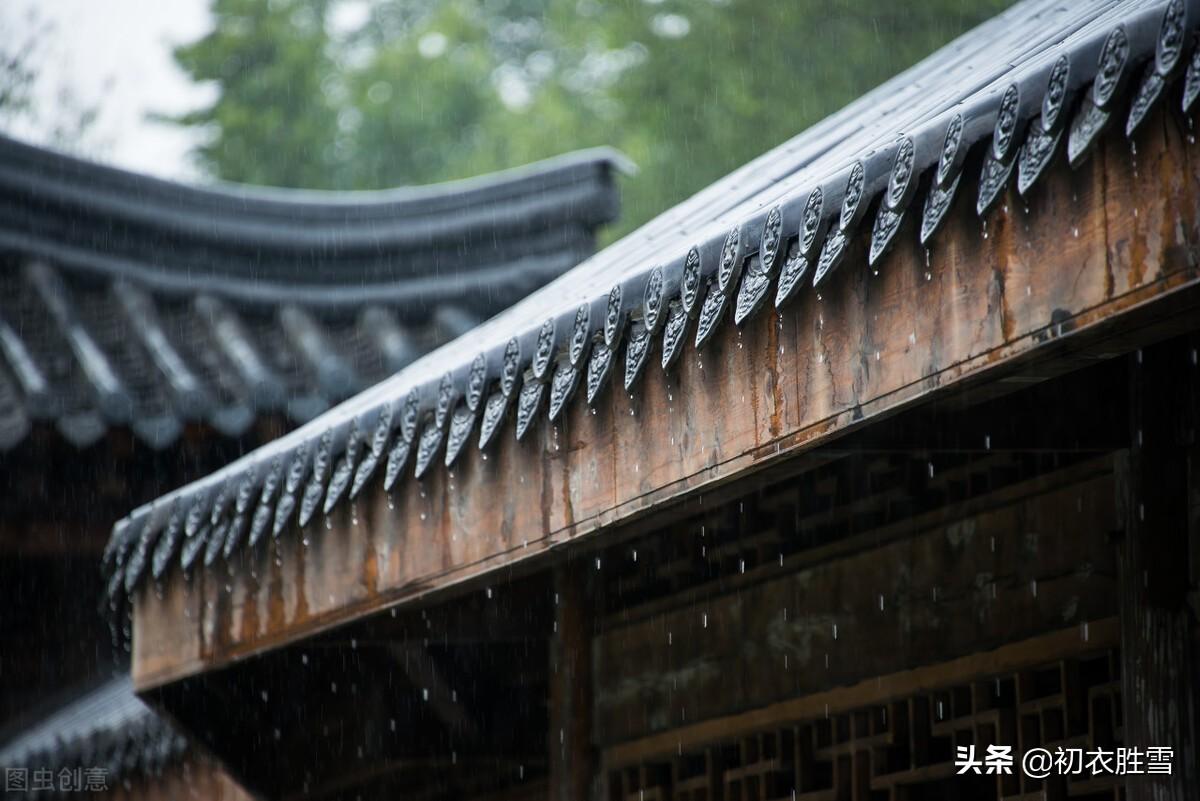 梅雨无时下，幽草上墙生（六首古诗中的盛夏梅雨）