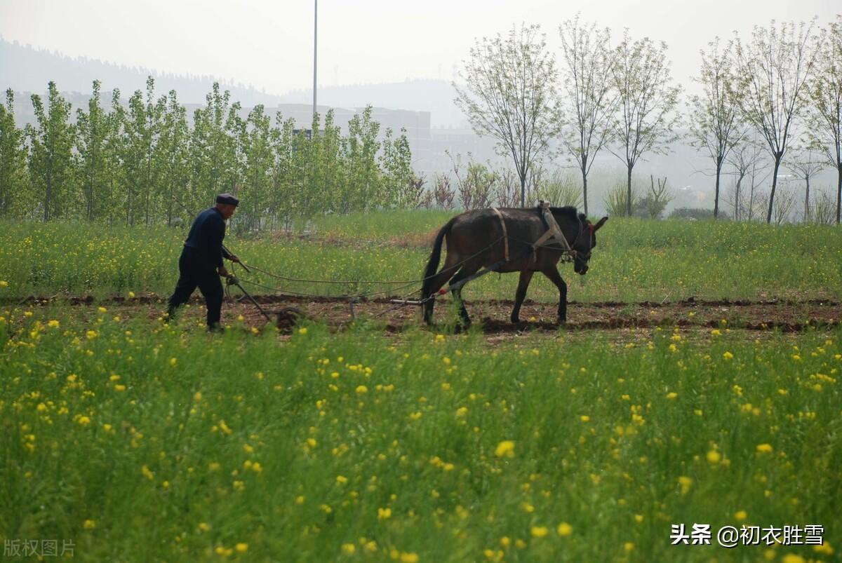 关于父亲的古诗五首（汝父年来实鲜欢，父亲的责任与情怀）