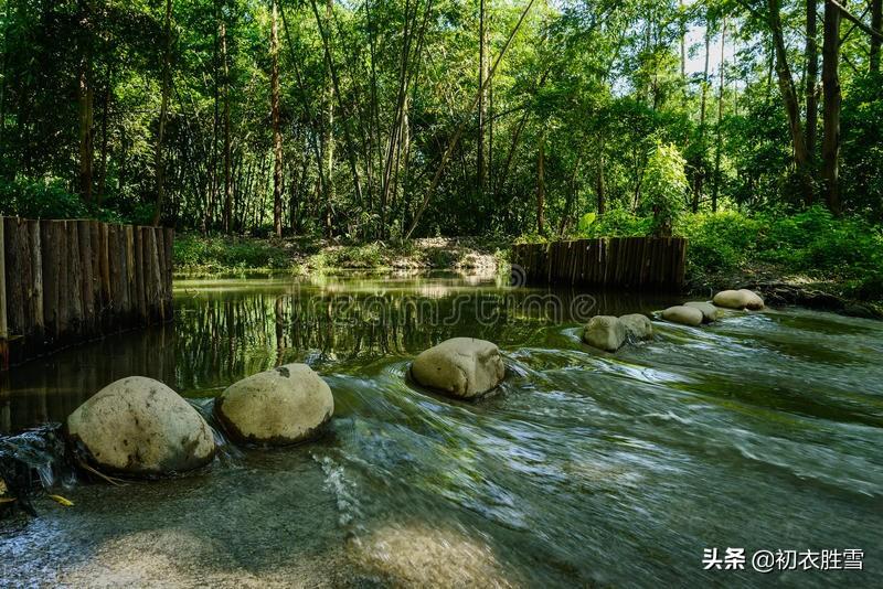 陆游两首仲夏古诗（芙蓉虽瘦亦弥漫，照眼翠盖遮红妆）