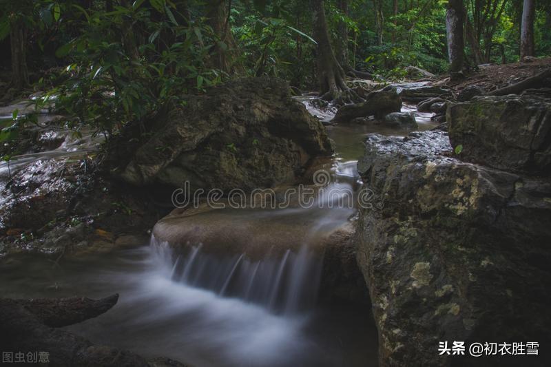 陆游两首仲夏古诗（芙蓉虽瘦亦弥漫，照眼翠盖遮红妆）