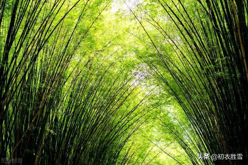 幽园有嘉植，盛夏乃繁阴（六首仲夏优美古诗词）