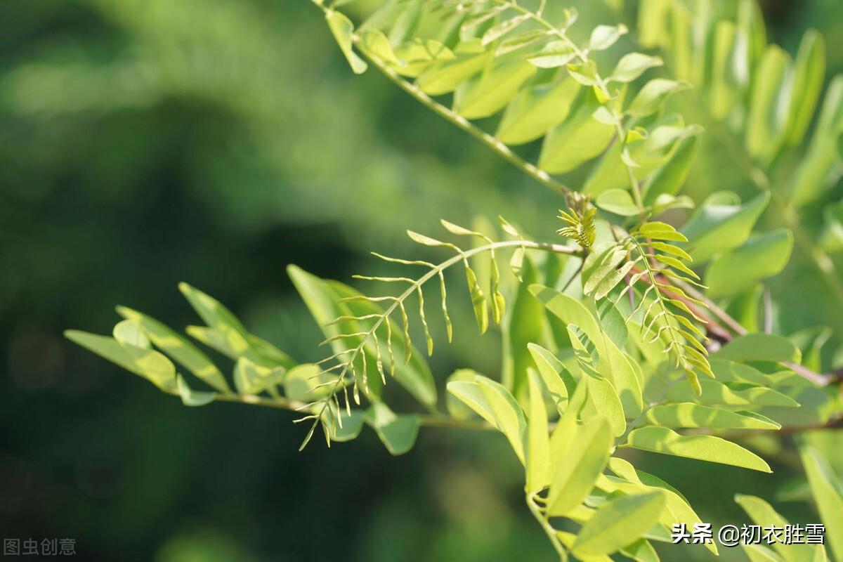 经典著名的夏至诗词（立夏八首诗赏读）