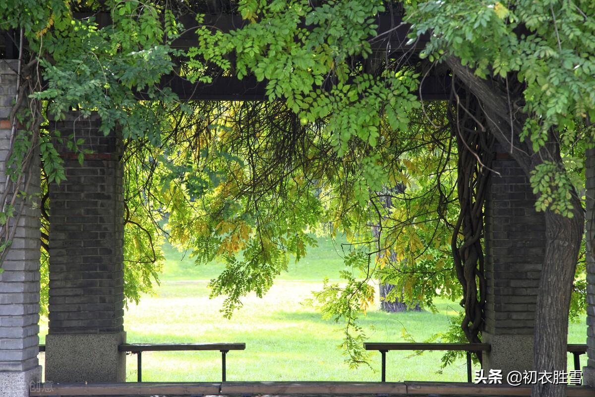 赏读立夏诗词六首（春从花上去，夏木已成阴）