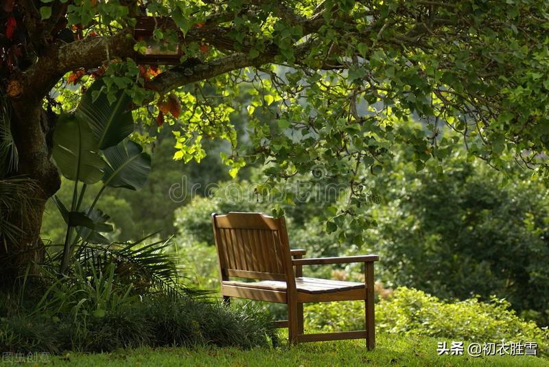 赏读立夏诗词六首（春从花上去，夏木已成阴）