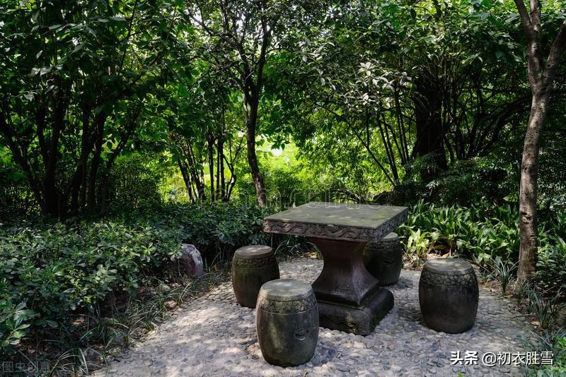 赏读立夏诗词六首（春从花上去，夏木已成阴）