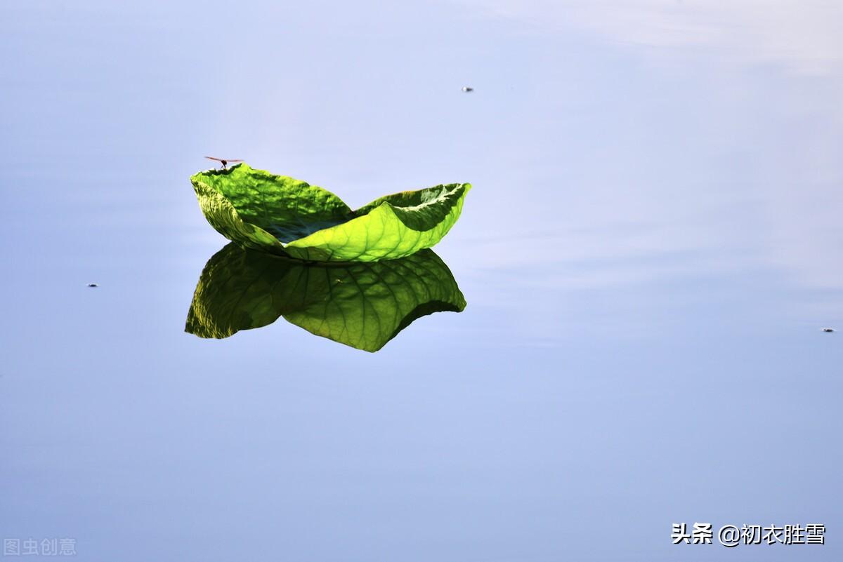 荷叶经典诗词大全（晚春初夏清新荷叶诗五首）