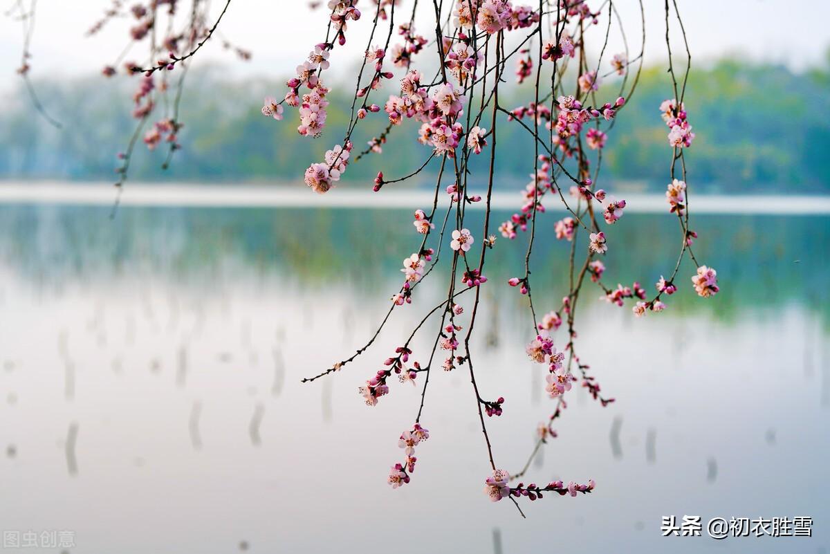 春水经典诗词大全（晚春春水诗词7首）